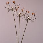 Επιδαπέδιο φωτιστικό 3 φώτα καλαθάκι σε απόχρωση οξυντέ - Image 2