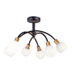 Κρεμαστό φωτιστικό 6/Φωτο οροφής Elisa 4215100