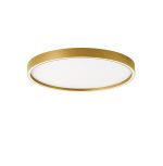 Φωτιστικό Οροφής LED 38W 1530Lm 3000K/4000Κ CCT Χρυσό D:500 Vanessa